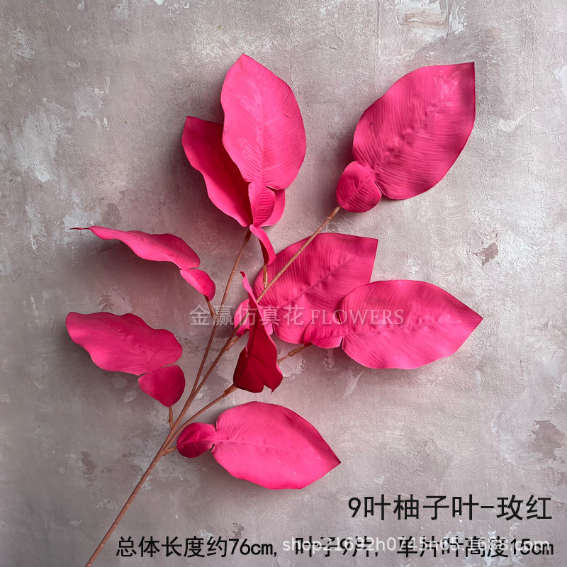 아홉 잎 자몽 잎