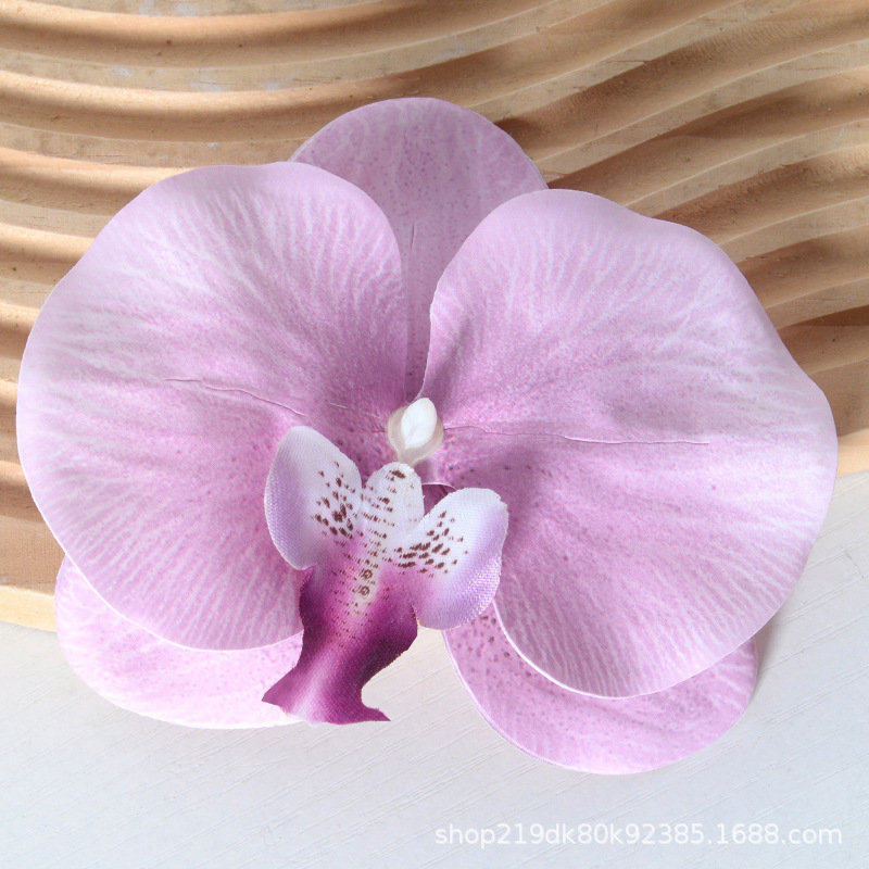 胡蝶蘭の花の頭は花びらの部品をシミュレーションします。|undefined