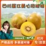 四川蒲江代发新鲜奇异果