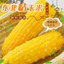 �|��������220-300g���SŴ����ܛŴ���z���r��հ��b��Ŵ����ֱ�l