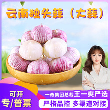 �����x�������Ƥ���^����l1/4������r���ԷN�������r�����[