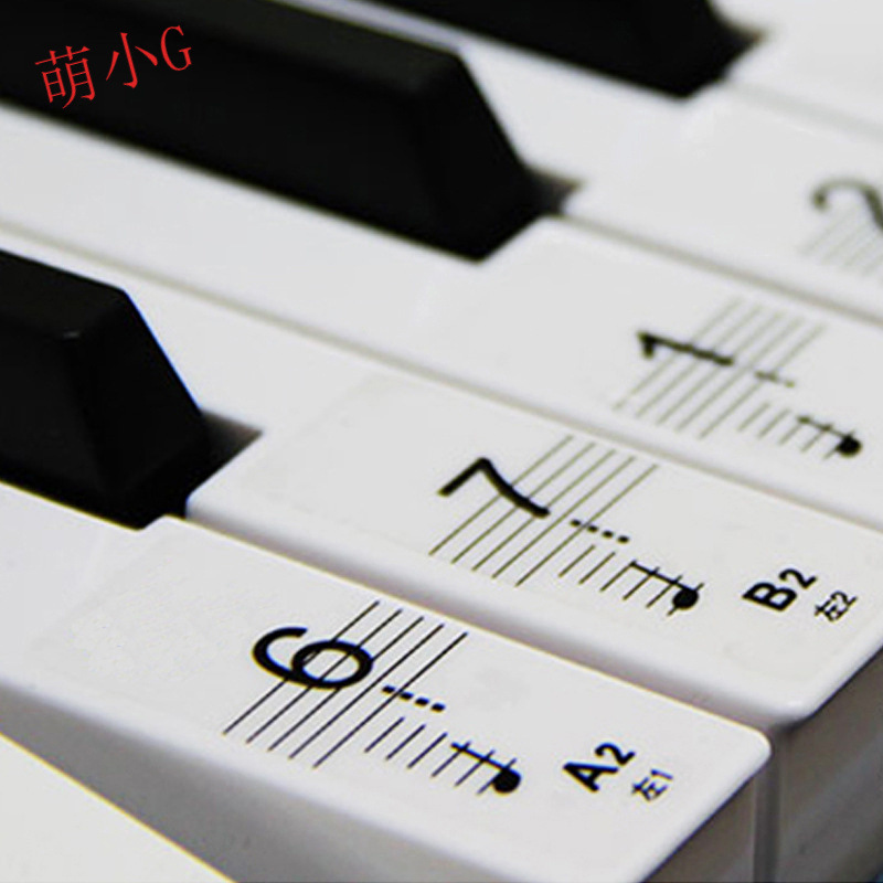54 61 88 teclas Piano electrónico Teclas de piano Etiqueta de marcado de notas Etiqueta de teclado transparente de color
