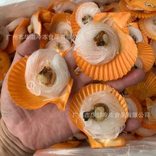 ����۽z�S��ؐ 200ֻ/�� �����������Ʒ����۽z��ؐ