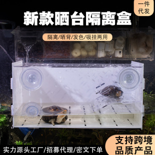 Tortoise Narrow Bridge Egg Tortoise Wood Grain Hair Color Fish Tank with Sun Table Climbing Acrylic Transparent Black and White Isolation Box Feeding Box