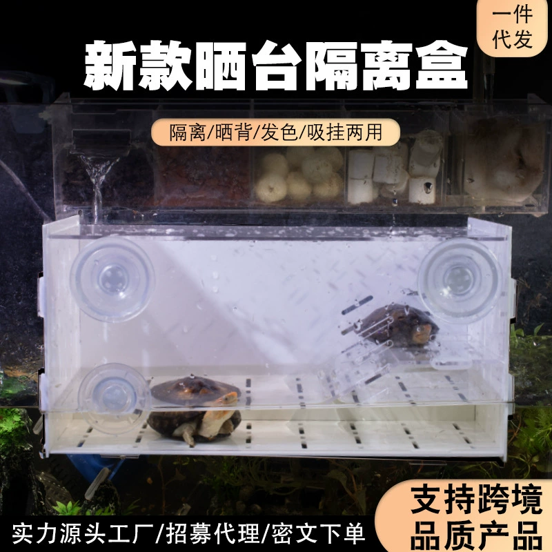 Черепаха узкий мост, яйцо, черепаха, цвет волос, аквариум с аквариумом