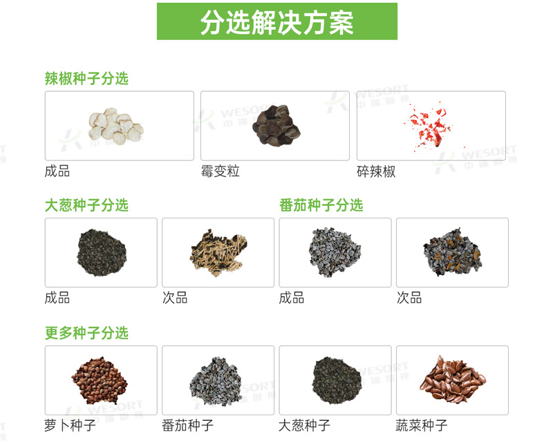 种子清选的目的是提高种子的什么