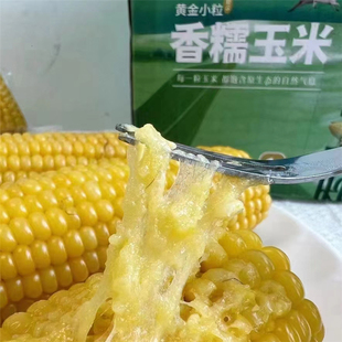 ���h���׃�����Ŵ��С����Ŵ���׃��ɹŮa8��1.8kg���ɲ�