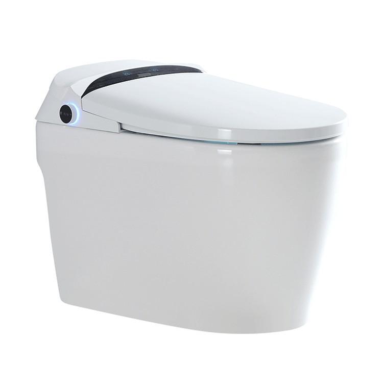 Weiyani marca apartamento pequeño inodoro de inducción automática inodoro inteligente de calentamiento instantáneo con tanque de agua Versión estándar