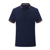 Polo, overall, T-shirt, 190 gram, with short sleeve, with embroidery