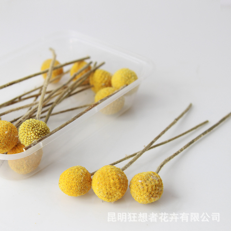Đầu hoa khô bóng vàng 10cm [đóng hộp 15 cành]
