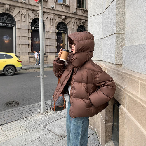 Women's Winter Short Padded Jacket - 2025 Fashion, Thick and Stylish, Han Style, Loose Design Padded Coat with Down