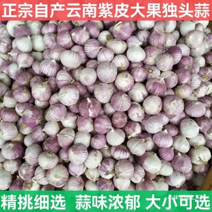 ��ϸɪ��^����Ƥ�⪚�����^�����^���r������С�����x�a�����l