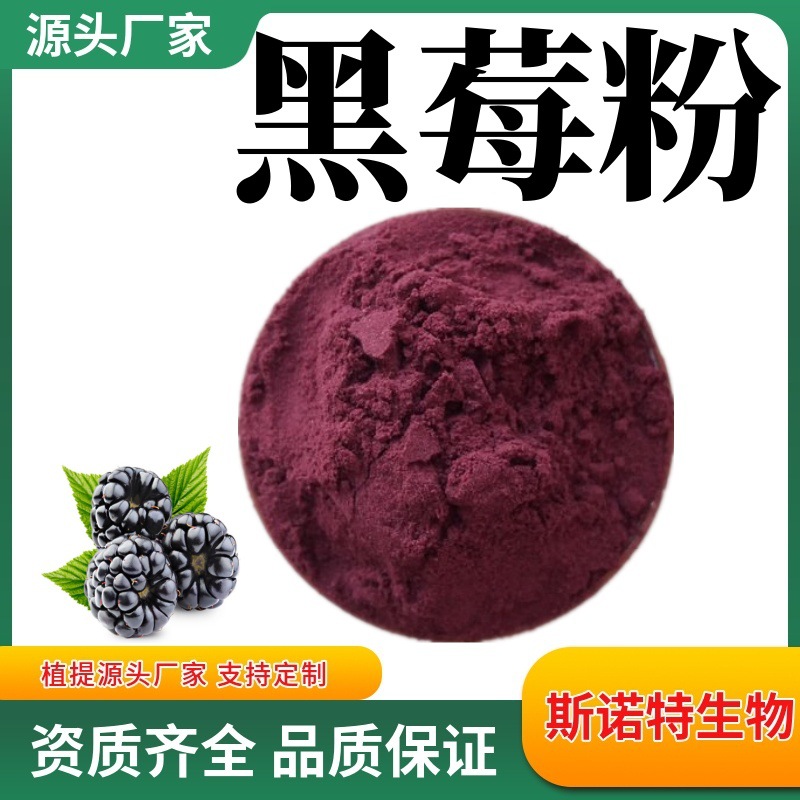 黑莓粉水溶性精细粉末 喷雾干燥工艺 源头厂家供应黑莓速溶粉