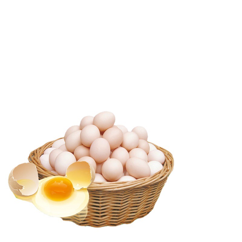 土鸡蛋大量批发农家生态散养鲜鸡蛋初生蛋新鲜草鸡蛋乌鸡蛋办公室