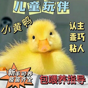 � �����С�S�����w����W�t�����̿��_���� �����ֳ������Z