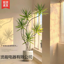 ��Ѫ�����ԾGֲ�҃ȴ��Ϳ͏d���辰���^���F����횘�����k����ֲ