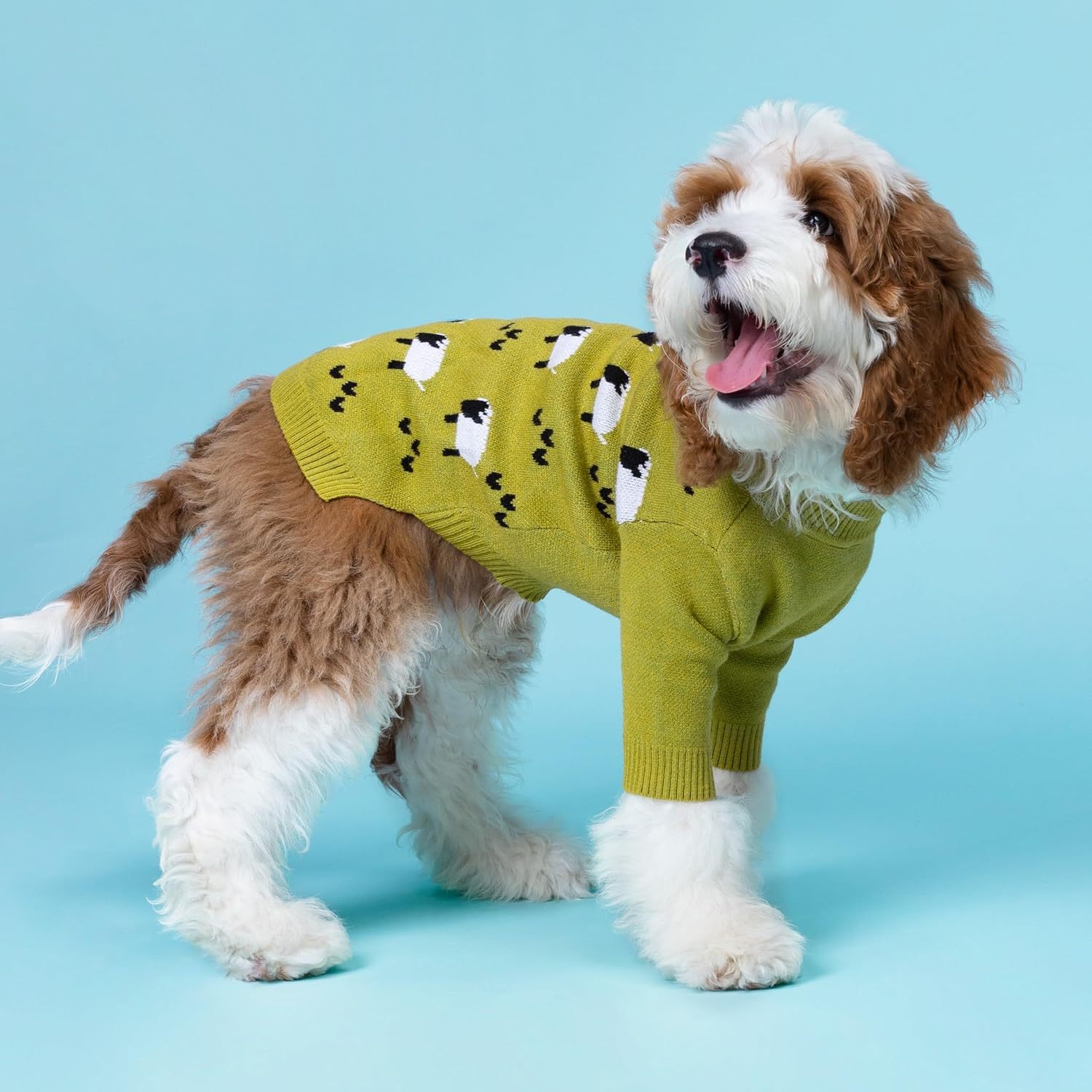 楽しい牧羊犬のセーター、暖かい冬服 - フェスティバル服 - プルオーバー - ペット服