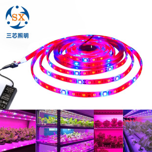 LED light bar low voltage indoor plant growth light 5050 DC12V 5 m 3 Red 1 blue 4 Red 1 blue 5 Red 1 Blue