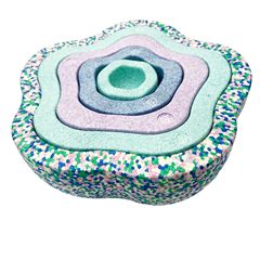 子供のおもちゃの積み重ね楽の虹は川の石の感覚の統一の訓練の器材の踏み台の石のバランスを通って橋の石を訓練したことがあります。