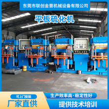 台湾350T前顶2RT平板硫化机 硅橡胶成型模压机 发热垫真空硫化机