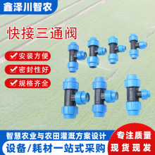 {ñӹܼͨyrIȵιPEܹܼ^ۓ޽^