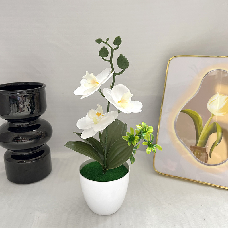 화이트 (가로 26cm 세로 13cm)