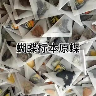 ������˱�����ԭ��δչ���ֹ�diy�������x�˱��P��ԭ�x͐������