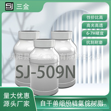 SJ-509N自干防滑耐磨瓷釉地坪漆地板透明涂料罩光油硅树脂高光泽