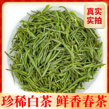 2025新茶珍稀白茶源自安吉产地茶叶绿茶雨前高山白茶毛峰茶