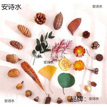 干花相框标本diy材料包幼儿园手工自制果壳松果橡果森系饰品摆件