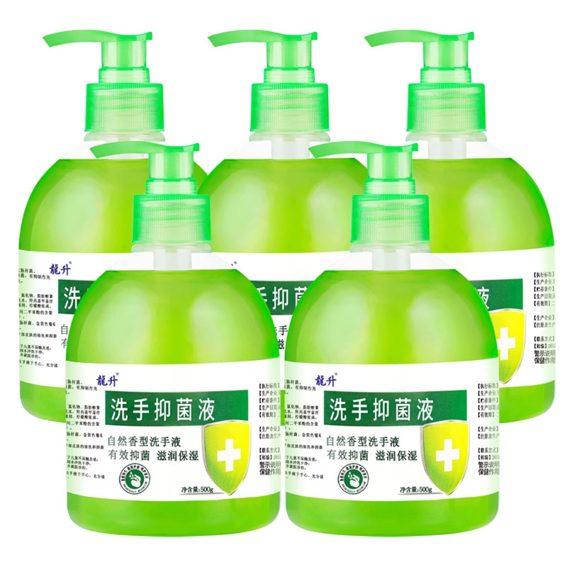 【10本入りフルボックス】Longsheng 抗菌手指消毒剤 500g フレグランス アロエベラ 抗菌 家庭用 手をきれいにし、保湿します|undefined