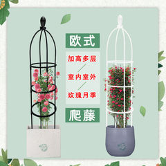 花架爬藤架子鐵線蓮月季花支架花盆植物攀爬支架室內山烏龜支撐杆