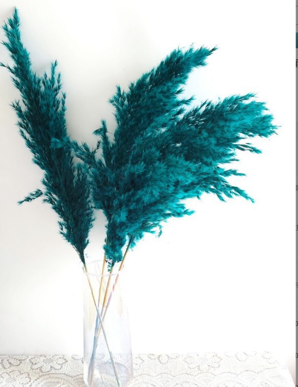 블루 그린-5 스틱