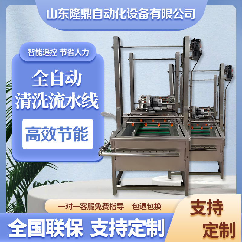 黄花菜气泡清洗机 龙须菜清洗漂烫流水线 野菜洗菜流水线定制