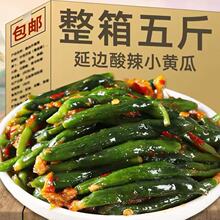 东北小黄瓜咸菜延边特产新鲜小黄瓜扭鲜脆小咸菜开胃下饭菜腌黄瓜
