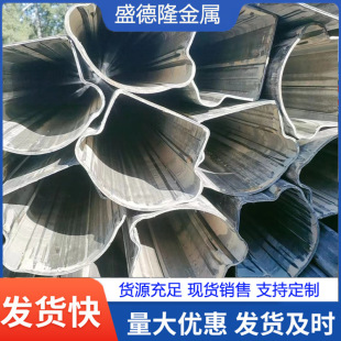 ����䓹܏S�Ҍ��I���a���ӹ�  �����F��  �ǘ�С�ڏ����͹�