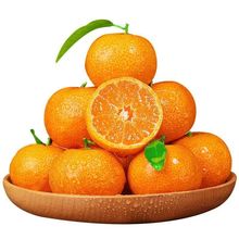 正宗广西沙糖桔薄皮桔子砂糖橘小橘子新鲜包邮甜整箱柑橘当季水果