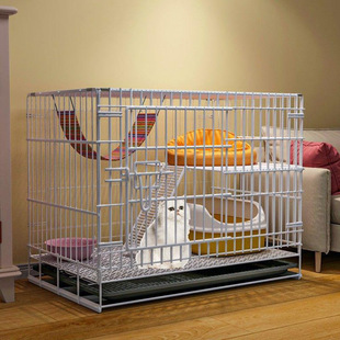 ؈�\�Ӽ��� �҃���؈�C�e��һ�w�\��ռ�؄e��؈���ۯB�F�\���l�S