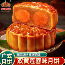 �ʹ������p�S�̵��S��ɏ��ζ���ɢ�b�Vʽ���﹝2025�¿��ͶY���b