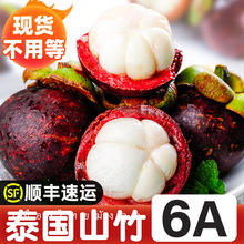 泰国进口山竹5斤大果水果当季整箱包邮孕妇油麻竹5A6一级大果