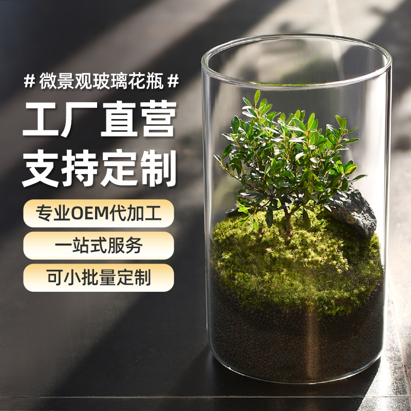 外国貿易の小さい景観のガラスの花瓶の置物の水培の生態の花瓶のコケの容器の卸売りの多肉の植木鉢のガラスの缶|undefined