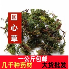 回心草 正宗云南中药材野生一公斤包邮大叶藓茴薪草干品新鲜晒