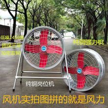 LCʓQȹܵŚoLSILCٙC