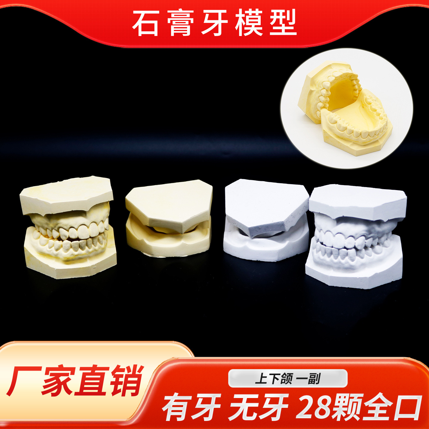 Modelo de yeso oral modelo de yeso dental enseñanza modelo de yeso dental modelo de yeso dental modelo de mandíbula superior e inferior modelo oral