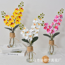 蝴蝶兰仿真花玻璃假水套装盆栽绢花盆景酒店假花客厅茶几装饰假花
