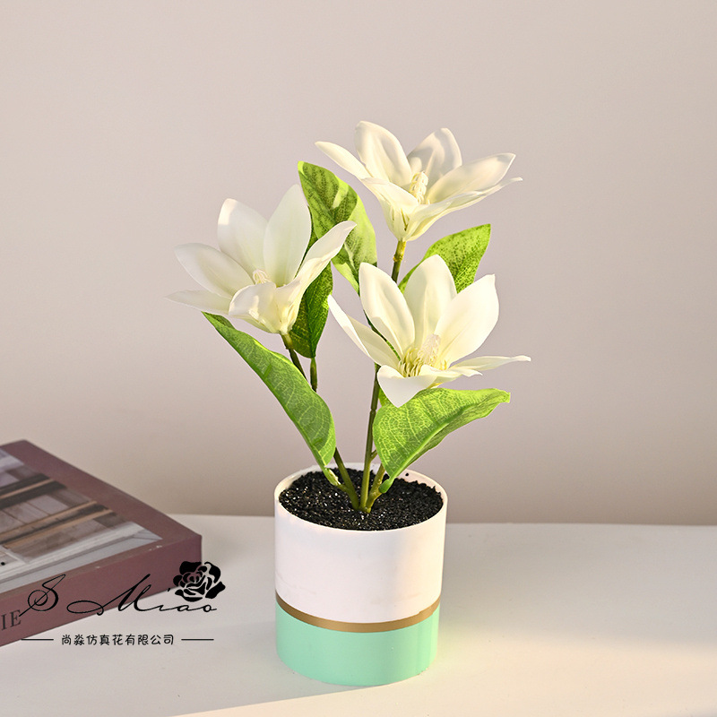 Transfronterizos tres cabezas sensación de mano magnolia bonsai creativo flores de simulación decoración de estudio en el hogar adornos verdes artificiales maceta
