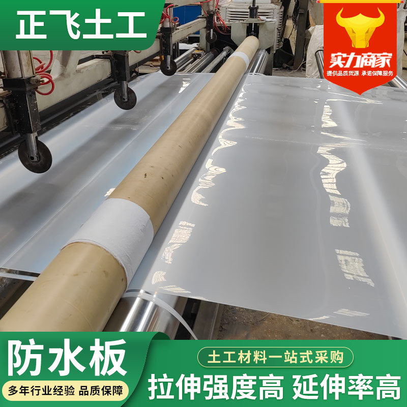 隧道eva防水板1.2mm地铁涵洞防水板高速公路水利用吊带复合防水板