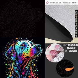 黑色画布画框diy数字油画定制源头工厂直发支持来样做图立体手绘