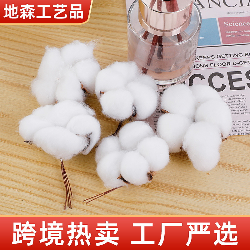 Xinjiang five -petal cotton head boutique cotton cotton beam…