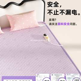 2025年新款电热毯双人单人家用棉质双控2人石墨烯旗舰店